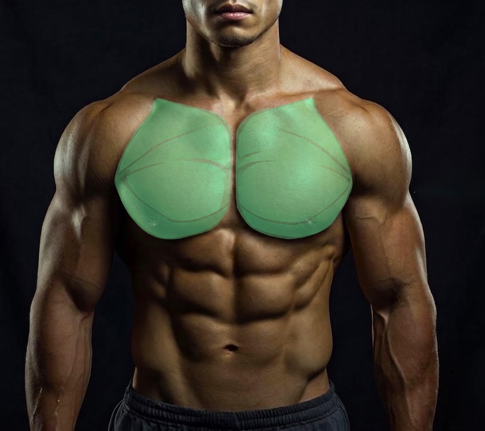 PECTORALES